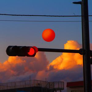 Free性ZoZ0交体内谢
